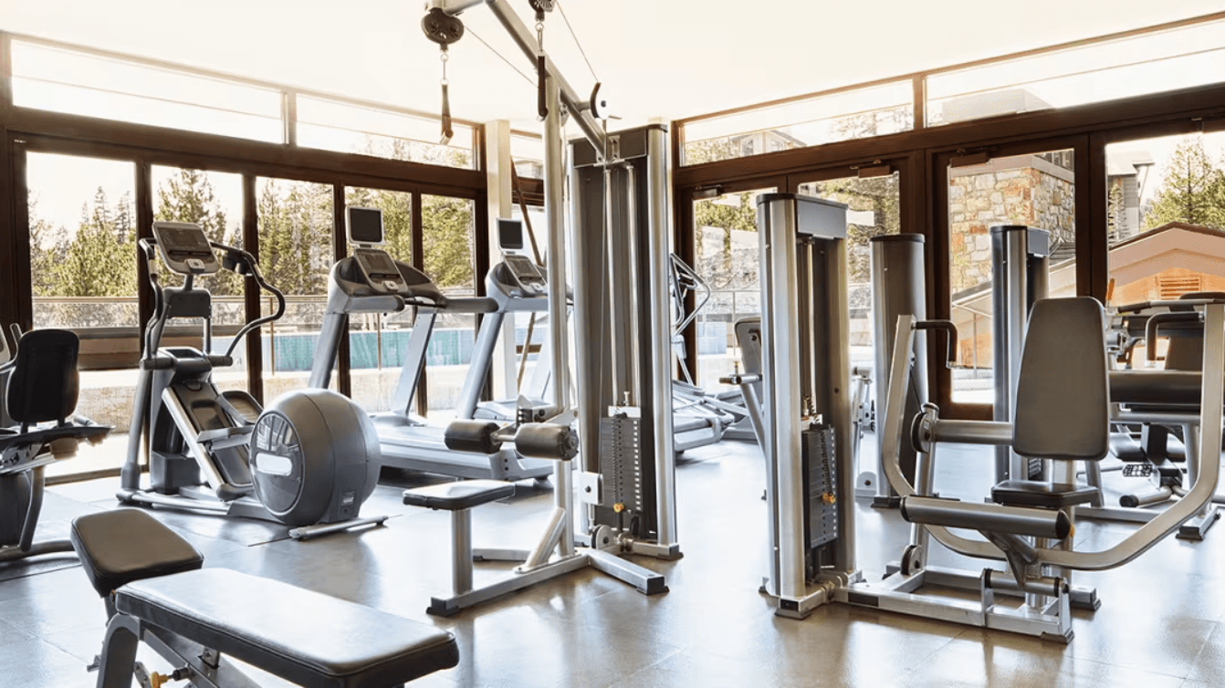Bright fitness center with treadmills and weight machines facing large windows with forest views.